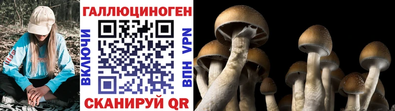 хочу Сычёвка Псилоцибиновые грибы прущие грибы